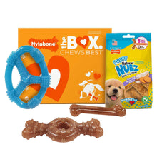 NylabonePuppyChewToysandSmallNUBZGiftBox-4-count-_1_0a2ef6dc-150f-47b6-85e6-60b6b5eb7415 - USA Mega Market