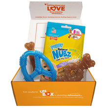 NylabonePuppyChewToysandSmallNUBZGiftBox-4-count1-_4_1711c9cc-1a59-4b12-83d7-4f5e8738456e - USA Mega Market