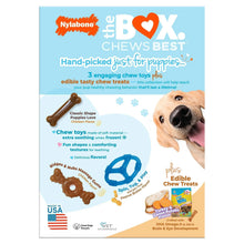 NylabonePuppyChewToysandSmallNUBZGiftBox-4-count2-_3_4401e53b-0c97-4680-9682-714659b808e9 - USA Mega Market