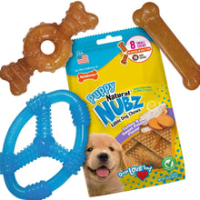 NylabonePuppyChewToysandSmallNUBZGiftBox-4-count3-_2 - USA Mega Market