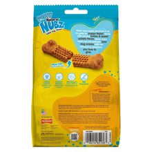 Nylabone Puppy Chew Toys and Small NUBZ Gift Box, 4-count