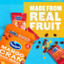 Ocean-Spray-Mango-Cran-Snack-Med3 - Brands For Less USA