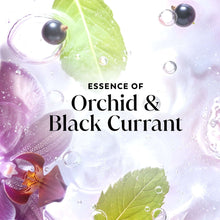 OlayFreshRadianceBodyWash-Orchid-BlackCurrant-withVitaminB3-35oz10-_3 - Brands For Less USA