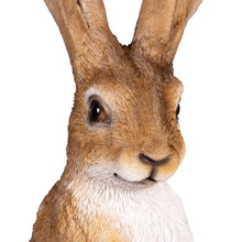 OrnamentalHares-2-pack-_5 - USA Mega Market