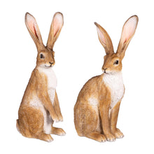 OrnamentalHares-2-pack1-_4 - USA Mega Market
