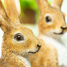 OrnamentalHares-2-pack2-_3 - USA Mega Market