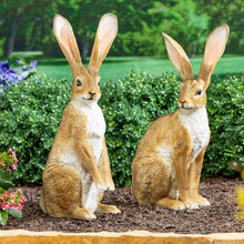 OrnamentalHares-2-pack4-_1 - USA Mega Market