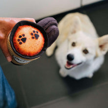 P-L-A-Y-Pet-Plush-Toys-Canine-Cafe-4-pc-Bundle-3-_6 - USA Mega Market