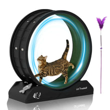 POLAHAKU-Cat-Exercise-Wheel-31-5-Cat-Treadmill-with-Carpeted-Runway-and-Safety-Lock-Black-da7645_3903_1 - USA Mega Market