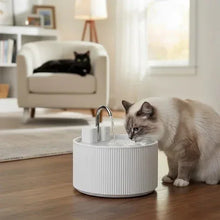 PawsPikCordlessCeramicFaucet-StylePetWaterFountain_Bundle1 - USA Mega Market