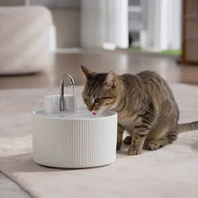 PawsPikCordlessCeramicFaucet-StylePetWaterFountain_Bundle2 - USA Mega Market