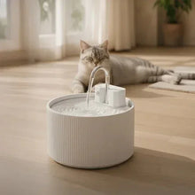 PawsPikCordlessCeramicFaucet-StylePetWaterFountain_Bundle4 - USA Mega Market