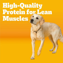 Pedigree-Adult-Dry-Dog-Food-Roas2 - USA Mega Market