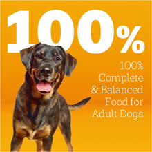 Pedigree-Adult-Dry-Dog-Food-Roas3 - USA Mega Market