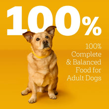 Pedigree-Choice-Cuts-in-Gravy-Ad_2_4 - USA Mega Market