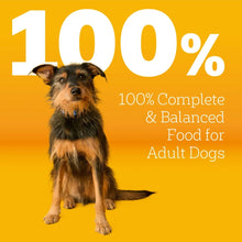 Pedigree-Complete-Nutrition-Roas3_7c1f7ea5-62ff-4675-bffb-c06726ba9d39 - USA Mega Market