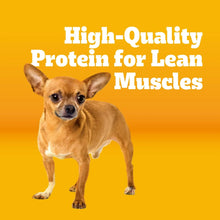 Pedigree-Complete-Nutrition-Roas_2_2_a2771cc6-071f-434b-802e-e21476bd222c - USA Mega Market