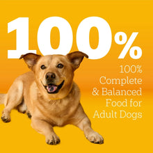 Pedigree-Complete-Nutrition-Roas_2_3_8cceb73c-2f36-48e7-b797-0fc66dd191b0 - USA Mega Market