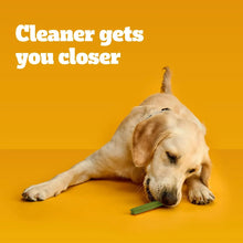 Pedigree-Dentastix-Fresh-Flavor7 - USA Mega Market