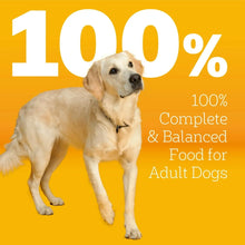 Pedigree-Marrobones-Grilled-Stea3 - USA Mega Market