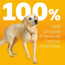 Pedigree With MarroBites Pieces Adult Dry Dog Food, Grilled Steak and Vegetable Flavor, 36 lb. Bag