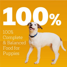 Pedigree-Puppy-Soft-Wet-Dog-Food4 - USA Mega Market
