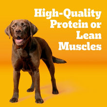 Pedigree-With-Tender-Bites-Compl1 - USA Mega Market