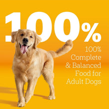 Pedigree-With-Tender-Bites-Compl2 - USA Mega Market
