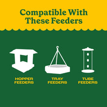 Pennington Classic Dry Wild Bird Feed and Wild Bird Seed, 1 Pack
