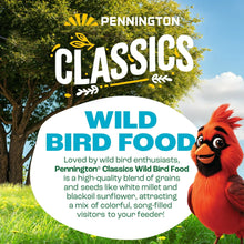 Pennington-Classic-Dry-Wild-Bird6_1a74152e-07d1-4d48-8a8e-f489c12ef371 - USA Mega Market