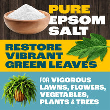 Pennington-Epsom-Salt-Plant-Food1 - USA Mega Market