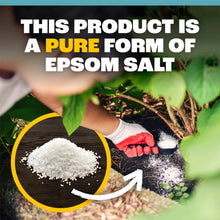 Pennington Epsom Salt Plant Food Fertilizer, 7 lb.