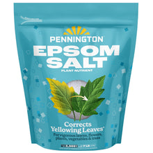 Pennington-Epsom-Salt-Plant-Food8 - USA Mega Market