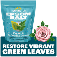 Pennington-Epsom-Salt-Plant-Food - USA Mega Market