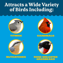 Pennington Feeding Frenzy Wild Bird Seeds, Wild Bird Food Mix