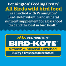 Pennington Feeding Frenzy Wild Bird Seeds, Wild Bird Food Mix