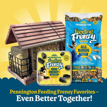 Pennington Feeding Frenzy Wild Bird Seeds, Wild Bird Food Mix