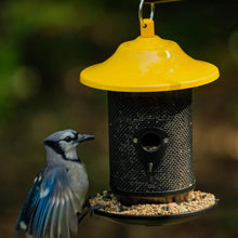 Pennington Feeding Frenzy Wild Bird Seeds, Wild Bird Food Mix