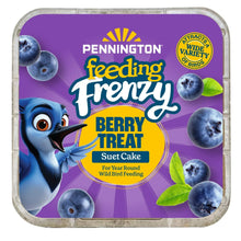 Pennington-Feeding-Frenzy-Berry - USA Mega Market