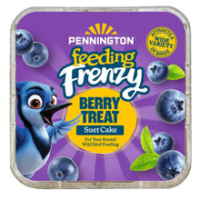 Pennington Feeding Frenzy Berry Treat Suet Cake, 11.75 oz, Suet Cakes for Wild Birds, Wild Bird Food, Fresh
