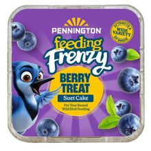 Pennington-Feeding-Frenzy-Berry - Brands For Less USA