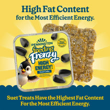 Pennington Feeding Frenzy High Energy Suet, for Year-Round Wild Bird Feeding, 11.75 oz. Cake, 8 Count Value Pack, Fresh