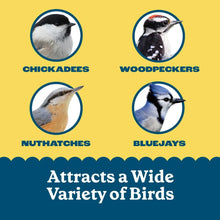 Pennington Feeding Frenzy High Energy Suet, for Year-Round Wild Bird Feeding, 11.75 oz. Cake, 8 Count Value Pack, Fresh