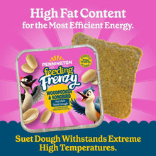 Pennington Feeding Frenzy No-Melt Suet Dough Woodpecker & Songbird Suet Cakes for Wild Birds, Wild Bird Food, 10 Oz. Cake, 8 Count Value Pack, Fresh