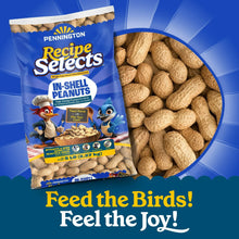 Pennington-In-Shell-Peanuts-Wild1 - USA Mega Market