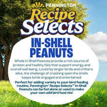 Pennington-In-Shell-Peanuts-Wild3 - USA Mega Market