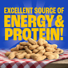 Pennington-In-Shell-Peanuts-Wild7 - USA Mega Market