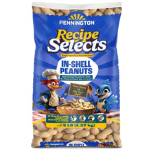 Pennington-In-Shell-Peanuts-Wild8 - USA Mega Market
