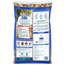 Pennington-In-Shell-Peanuts-Wild9 - USA Mega Market
