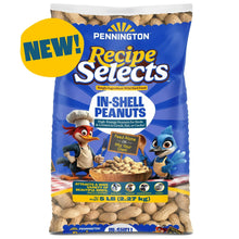 Pennington-In-Shell-Peanuts-Wild - USA Mega Market